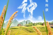 安吉芒种节气小知识来了 夏种作物都有什么？