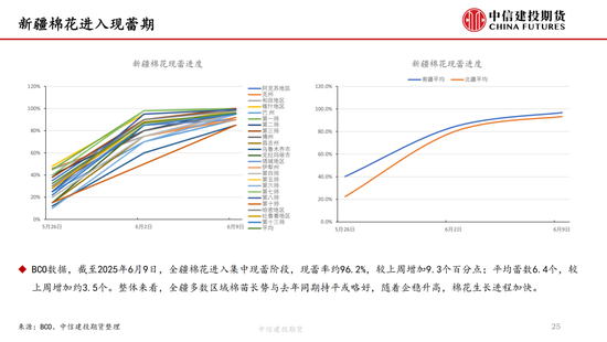 【棉花纺谈】供应端(🚅)阶段性缩量 疆棉基差坚挺